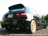 66RACING CIVICGˤWAPEXI N1j]
