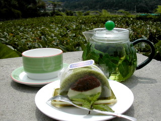 北投綠山谷海芋園