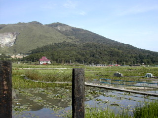 名陽匍休閒海芋園
