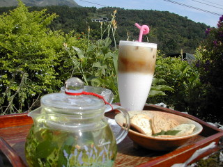 北投花與樹園藝