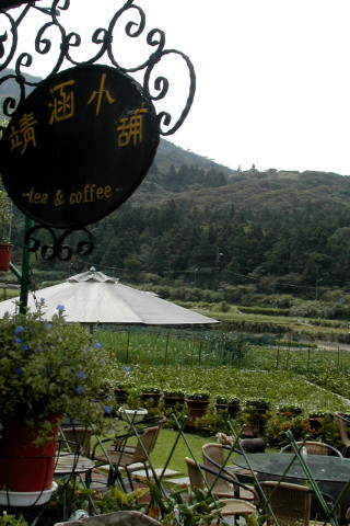 花谷海芋園