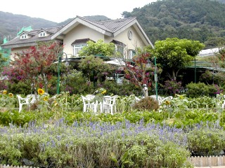 北投苗榜海芋園溫泉