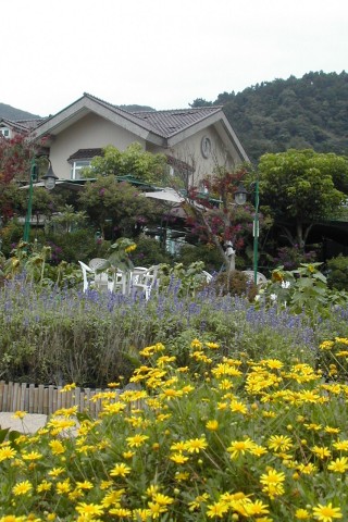 北投苗榜海芋園溫泉